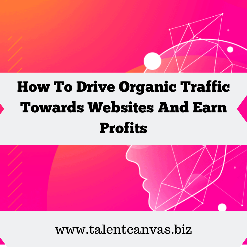 How To Drive Organic Traffic Towards Websites And Earn Profits